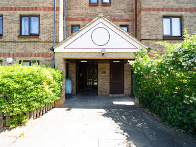 Picture 12